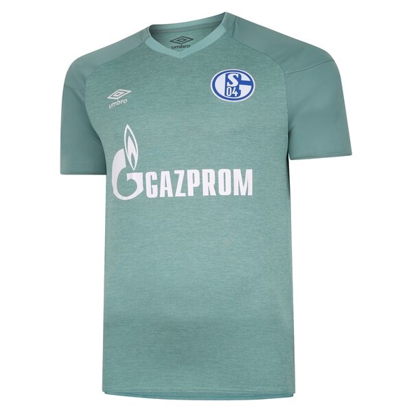 Camiseta Schalke 04 Replica Tercera Ropa 2020/21 Verde